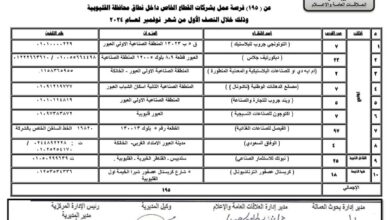 توفير 195 فرصة عمل في 10 شركات بالقليوبية توفير 195 فرصة عمل في 10 شركات بالقليوبية