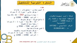 الإعلان عن 920 فرصة عمل في 16 شركة ومصنع بمرتبات مجزية بالقليوبية 