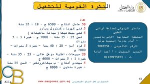 الإعلان عن 920 فرصة عمل في 16 شركة ومصنع بمرتبات مجزية بالقليوبية 