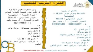 الإعلان عن 920 فرصة عمل في 16 شركة ومصنع بمرتبات مجزية بالقليوبية