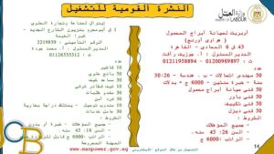 الإعلان عن 920 فرصة عمل في 16 شركة ومصنع بمرتبات مجزية بالقليوبية 