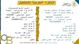 الإعلان عن 920 فرصة عمل في 16 شركة ومصنع بمرتبات مجزية بالقليوبية 