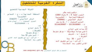 الإعلان عن 920 فرصة عمل في 16 شركة ومصنع بمرتبات مجزية بالقليوبية 