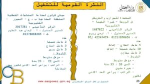 الإعلان عن 920 فرصة عمل في 16 شركة ومصنع بمرتبات مجزية بالقليوبية 