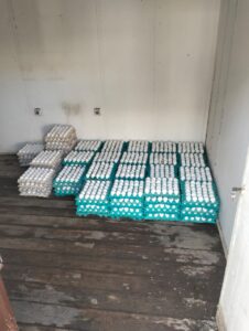 إطلاق مبادرة لتخفيض أسعار بيض المائدة بالقليوبية (صور)