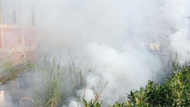 السيطرة على حريق بوص بجوار مجموعة من المنازل ببنها