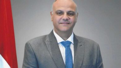 محافظ القليوبية: تنظيم قافلة طبية بقرية سندوة بالخانكة بالتنسيق مع جامعة بنها