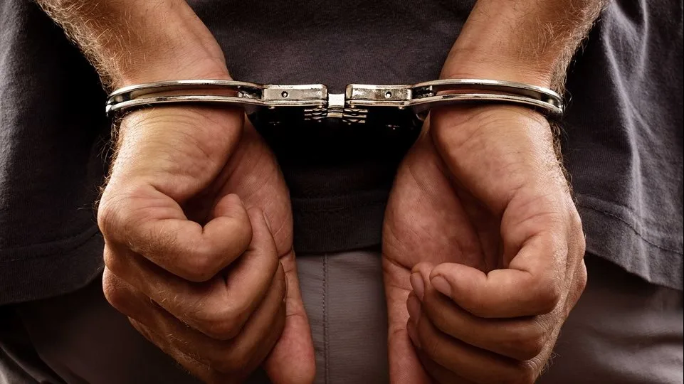 ضبط عصابة سرقة المواشي بكفر شكر
