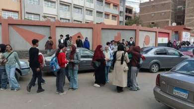 الجبر والإحصاء يرسم البهجة على وجوه طلاب الشهادة الإعدادية بالقليوبية (صور)