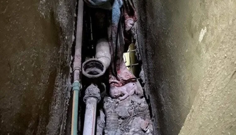 تفاصيل العثور على رضيع داخل منور عقار بشبرا الخيمة تفاصيل العثور على رضيع داخل منور عقار بشبرا الخيمة