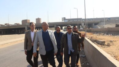 محافظ القليوبية يتابع أعمال النظافة ورفع الإشغالات أعلى وأسفل الطريق الدائري (صور)