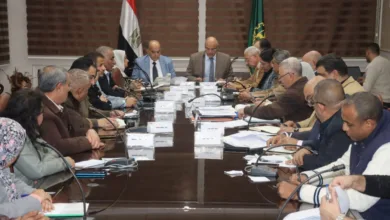 محافظ القليوبية: تقسيم المناطق إلى مربعات ومسارات سكنية لتسهيل عملية جمع القمامة