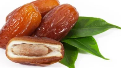 يحارب هشاشة العظام .. تعرف على فوائد التمر الذهبية الأربعة