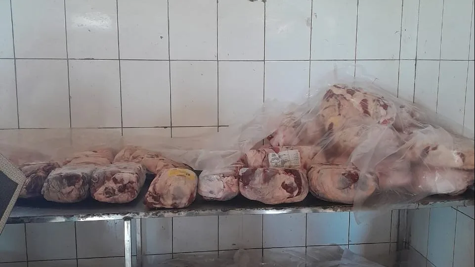 ضبط دواجن غير صالحة للاستهلاك بمجزر داخل مقابر الخانكة ضبط دواجن غير صالحة للاستهلاك بمجزر داخل مقابر الخانكة