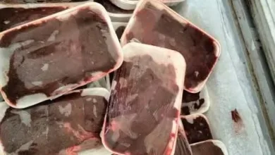 ضبط 2.5 طن سلع غذائية غير صالحة للاستهلاك الآدمي والتوصية بغلق 3 مصانع بالقليوبية