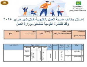 توفير 342 فرصة عمل داخل 9 شركات بالقليوبية