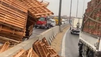 تكدس مروري بالطريق الزراعي بسبب حادث تصادم بالقليوبية - صور تكدس مروري بالطريق الزراعي بسبب حادث تصادم بالقليوبية - صور