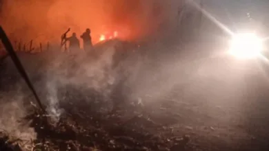 اندلاع حريق في محاصيل زراعية على ساحل نهر النيل بكفر شكر اندلاع حريق في محاصيل زراعية على ساحل نهر النيل بكفر شكر