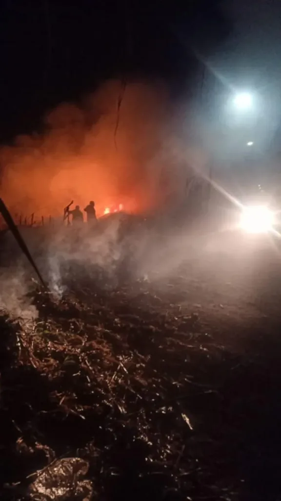 اندلاع حريق في محاصيل زراعية على ساحل نهر النيل بكفر شكر