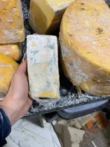 ضبط 120 كجم منتجات أجبان ولانشون منتهية الصلاحية بالقليوبية - صور