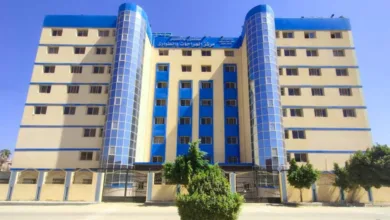 بشري لاهالي القليوبية ،انفراجة جديدة في ازمة الحضانات والعناية المركزة بشري لاهالي القليوبية ،انفراجة جديدة في ازمة الحضانات والعناية المركزة