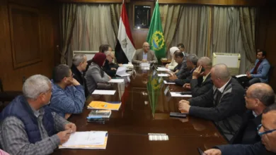 محافظ القليوبية ،اجتماع اسبوعي لمتابعة معوقات مشروعات قطاع الرصف بمدينة شبرا الخيمة