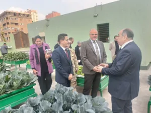 محافظ القليوبية : تعميم تجربة هيئة الشبان العالمية في زراعة الاسطح وإطلاق مبادرة مشتركة بمشاركة جامعة بنها