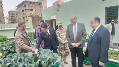 محافظ القليوبية : تعميم تجربة هيئة الشبان العالمية في زراعة الاسطح وإطلاق مبادرة مشتركة بمشاركة جامعة بنها