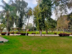 محافظ القليوبية يتابع استعدادات حدائق القناطر الخيرية لعيد الفطر المبارك