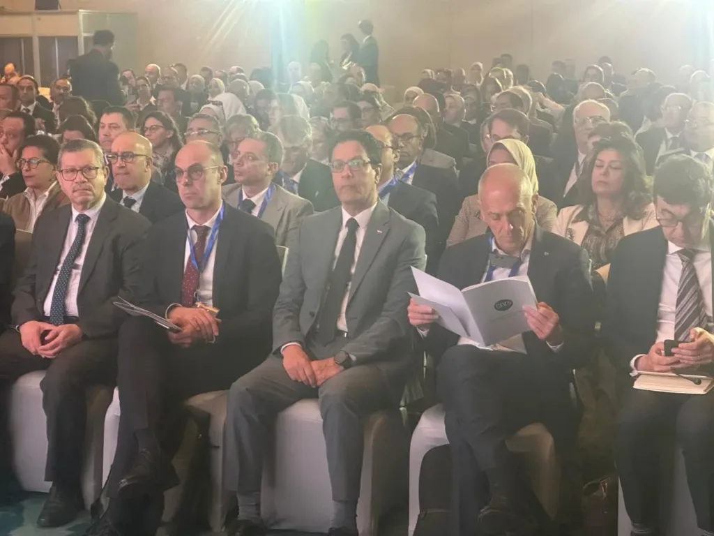 رئيس جامعة بنها يشارك فى المؤتمر الفرنسي المصري للتعاون العلمي والجامعي
