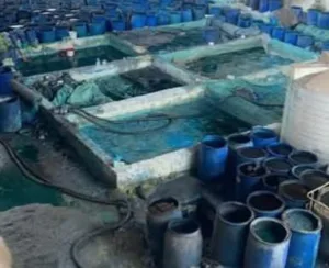 ضبط 100 طن مخصبات زراعية داخل مصنع غير مرخص بالقليوبية