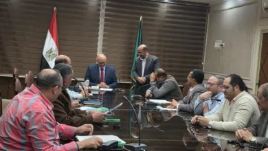 تعرف على قيمة أجرة الركوب الجديدة لسيارات الأجرة بالقليوبية بعد رفع أسعار الوقود