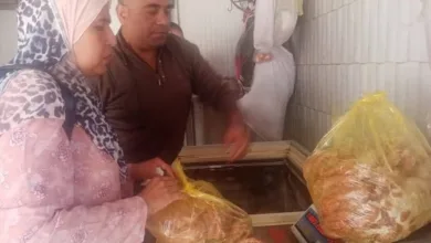 قبل شم النسيم .. ضبط فسيخ ورنجة غير صالحة في حملة تموينية بالقليوبية