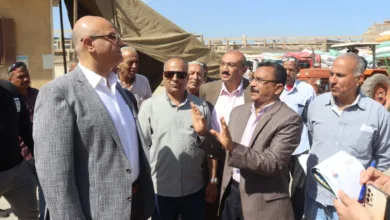 محافظ القليوبية يتفقد صوامع القمح ويؤكد المحصول مبشر والإنتاجية وفيرة