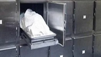 مصرع ربة منزل سقطت عليها نخلة بالقليوبية