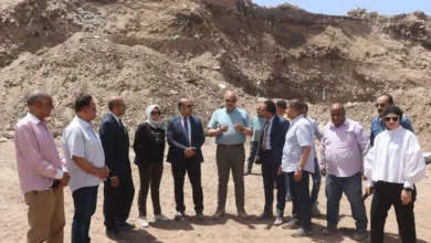محافظ القليوبية يشهد حملة مكبرة لازالة "التراكمات" أسفل محور الفريق العصار