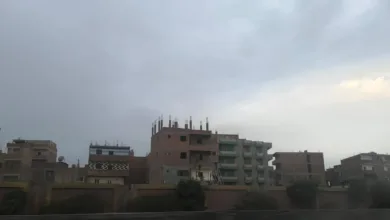 سقوط أمطار خفيفة على بعض الأنحاء بالقليوبية