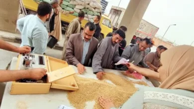 مديرية التموين بالقليوبية تواصل إنجازاتها في موسم توريد القمح المحلي 2025