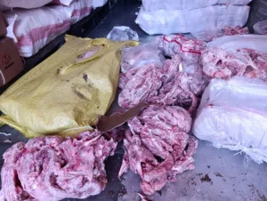 ضبط 10 طن هياكل دواجن غير صالحة للاستهلاك الآدمي بالقليوبية