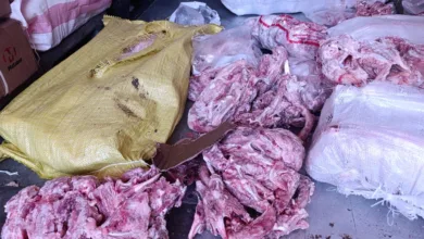 ضبط 10 طن هياكل دواجن غير صالحة للاستهلاك الآدمي بالقليوبية