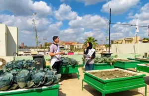 شبان بنها تحصد المركز الأول على مستوى محافظة القليوبية وتتأهل للتصعيد على مستوى الجمهورية في مسابقة "سفراء الاستدامة البيئية"