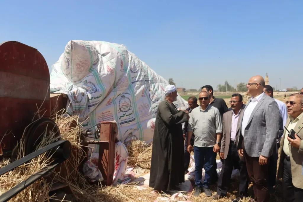 محافظ القليوبية: توريد 41 ألف طن قمح للشون والصوامع