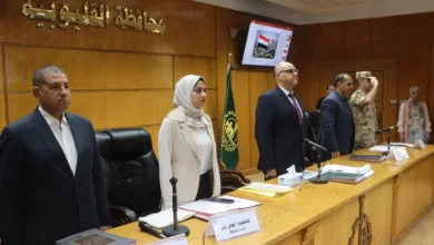 محافظ القليوبية يعقد إجتماع المجلس التنفيذي للمحافظة محافظ القليوبية يعقد إجتماع المجلس التنفيذي للمحافظة