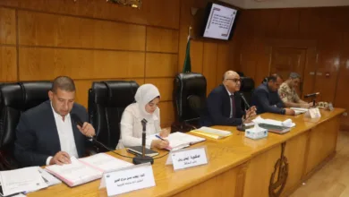 محافظ القليوبية: إنهاء طلبات التصالح بالمدن والقرى والأحياء بنسبة بلغت 90% محافظ القليوبية: إنهاء طلبات التصالح بالمدن والقرى والأحياء بنسبة بلغت 90%