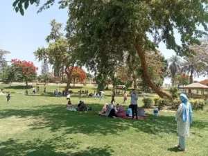 إقبال المواطنين للاحتفال بعيد الأضحى في ثاني أيام العيد