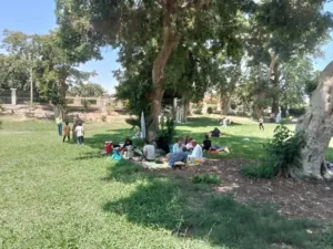 إقبال المواطنين للاحتفال بعيد الأضحى في ثاني أيام العيد
