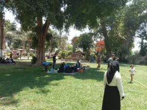 إقبال المواطنين للاحتفال بعيد الأضحى في ثاني أيام العيد