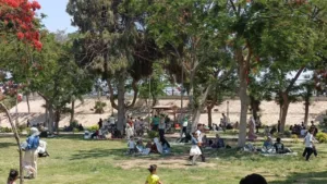 إقبال المواطنين على حدائق القناطر الخيرية في ثالث أيام العيد