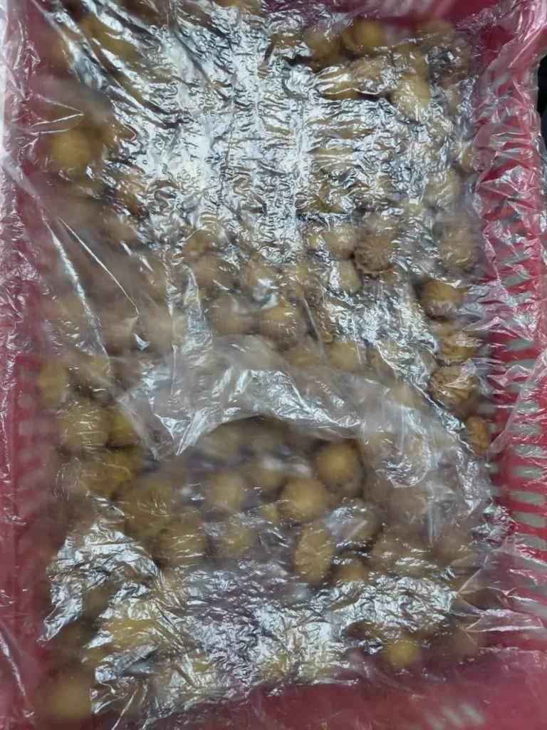 ضبط 220 كجم "بيتي فور" غير صالح للاستهلاك الآدمي بالقليوبية ضبط 220 كجم "بيتي فور" غير صالح للاستهلاك الآدمي بالقليوبية