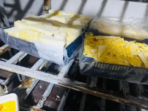 ضبط 725 كيلو جرام منتجات ألبان غير صالحة للاستهلاك الآدمي بالقليوبية